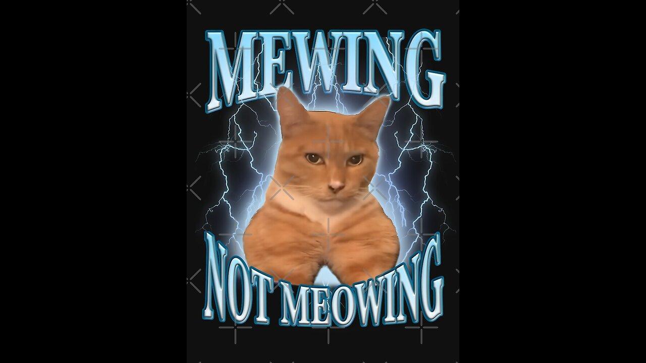 Mewing Cumpony - newsR VIDEO