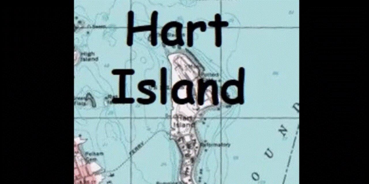 Damaged - Hart Island (Thermite)