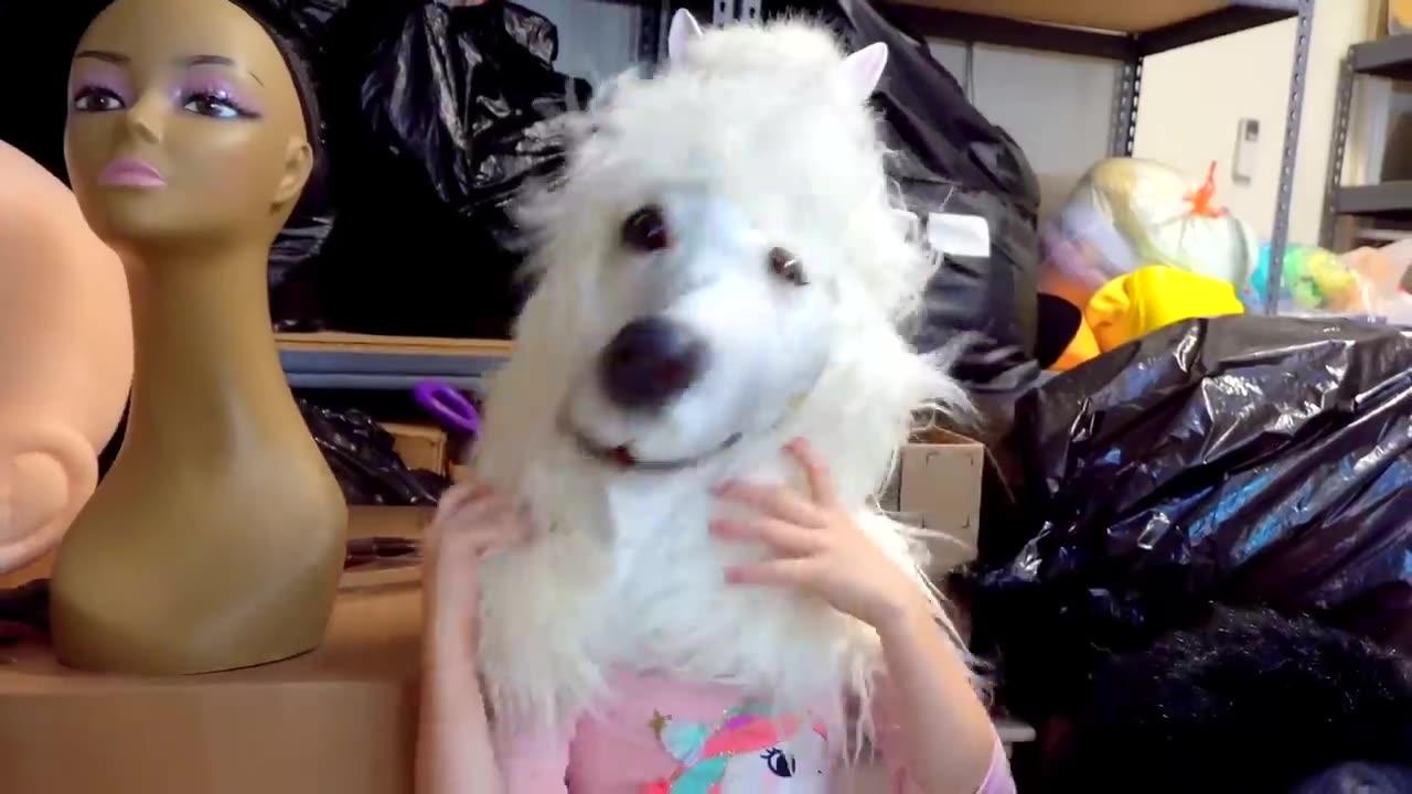 Nastya and dad are trying to make friends with a neighbor