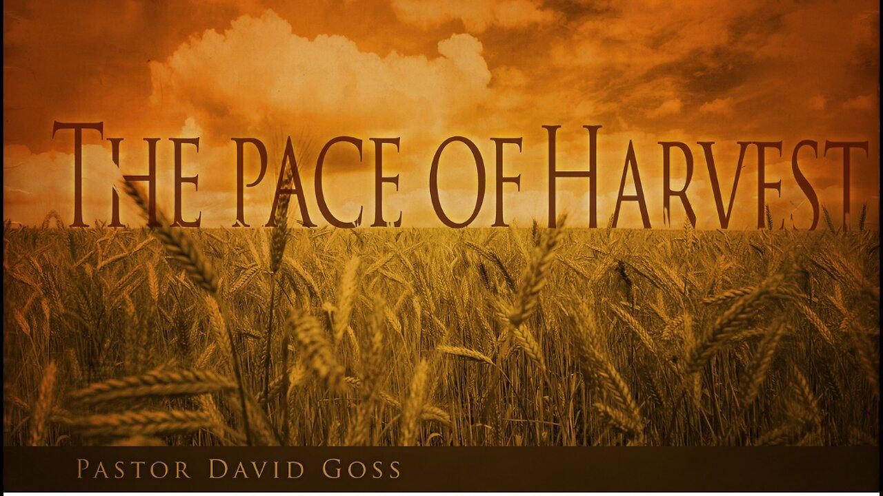 The Pace Of Harvest | Life Chapel, Rainsville, AL | 2.25.2024