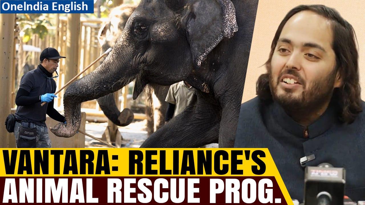 Reliance Foundation Launches Vantara: Animal Conservation Initiative in Gujarat | Oneindia News