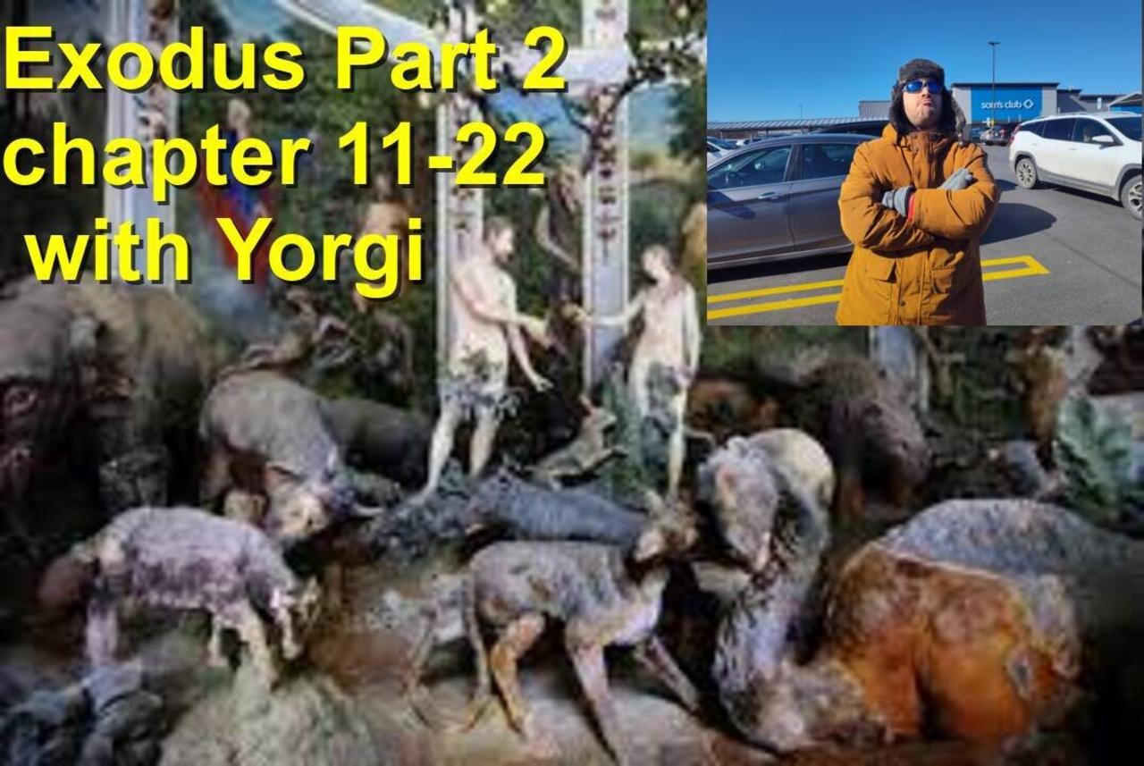 Exodus part 2 chapter 11-22 with Yorgi