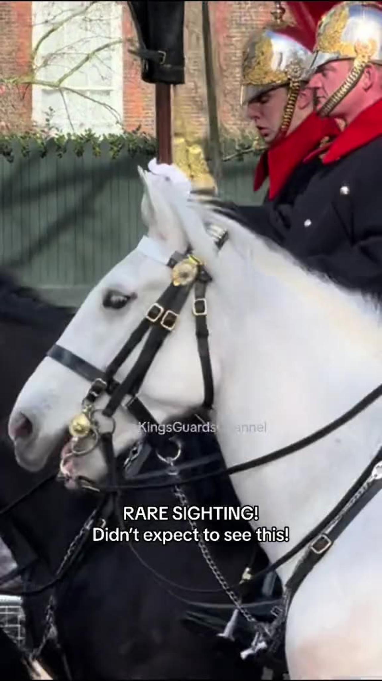 Blues and Royals Guard seen with Union Flag — The White Horse is Out