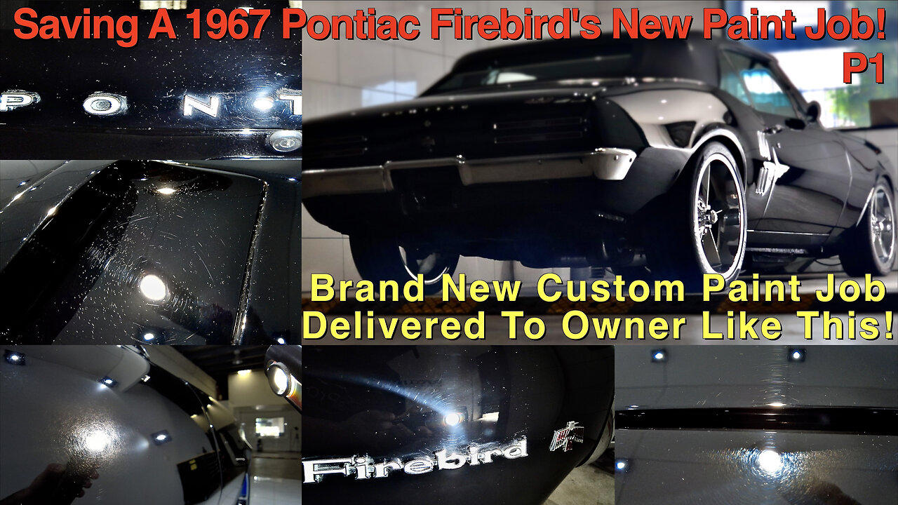 1967 Pontiac Firebird | Full Step by Step Detail | P1Wash Decon & Pre-Paint Correction! (Vlog 37.1)