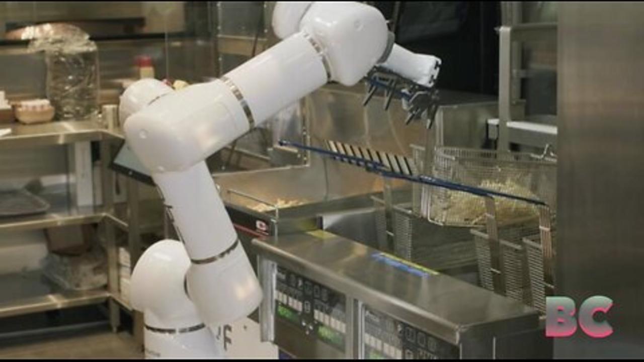 Fry Robot Named Horton Preparing Food at Universal Orlando Resort