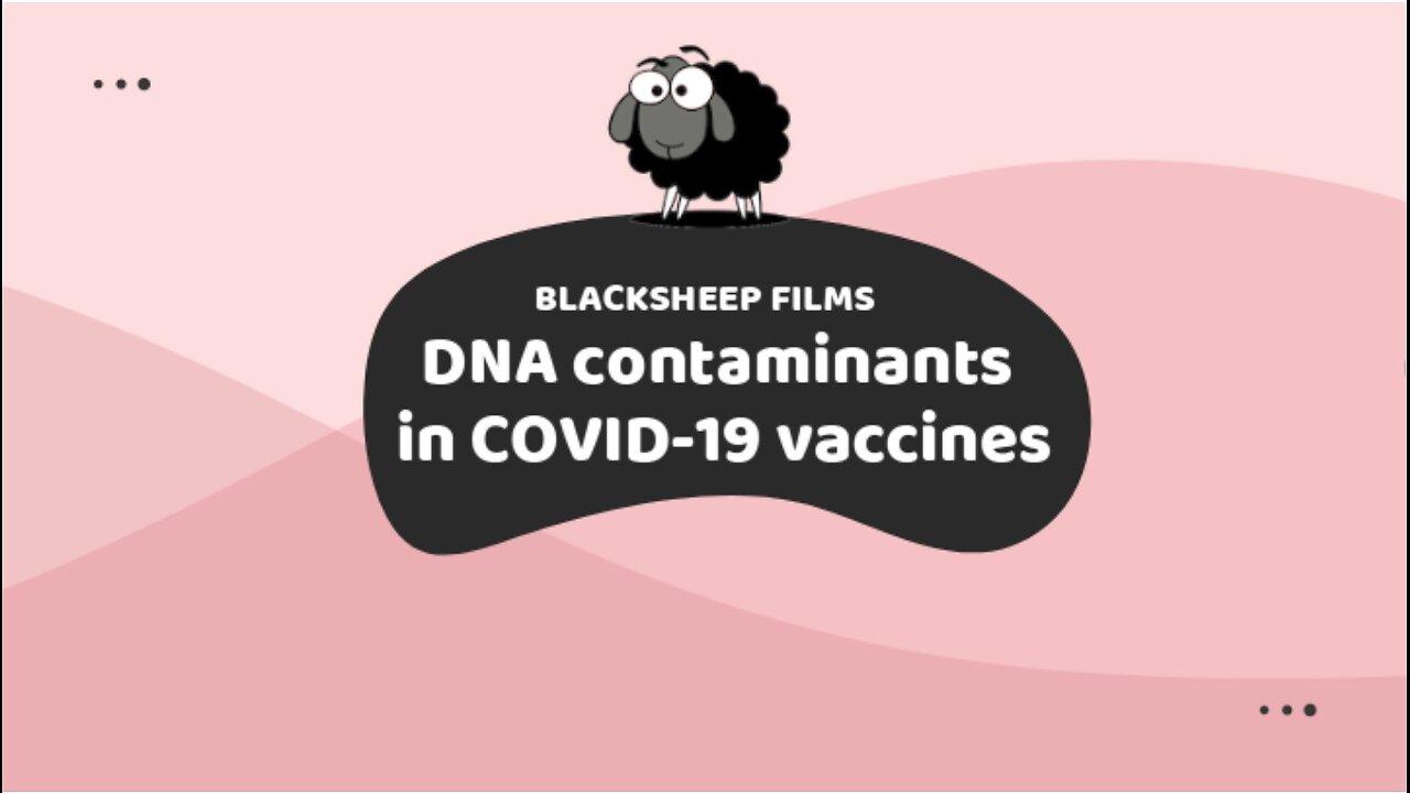 DNA contaminants in COVID-19 vaccines