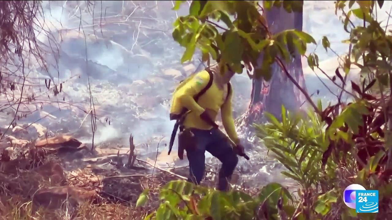 Brazil, Venezuela, Bolivia see surging wildfire emissions