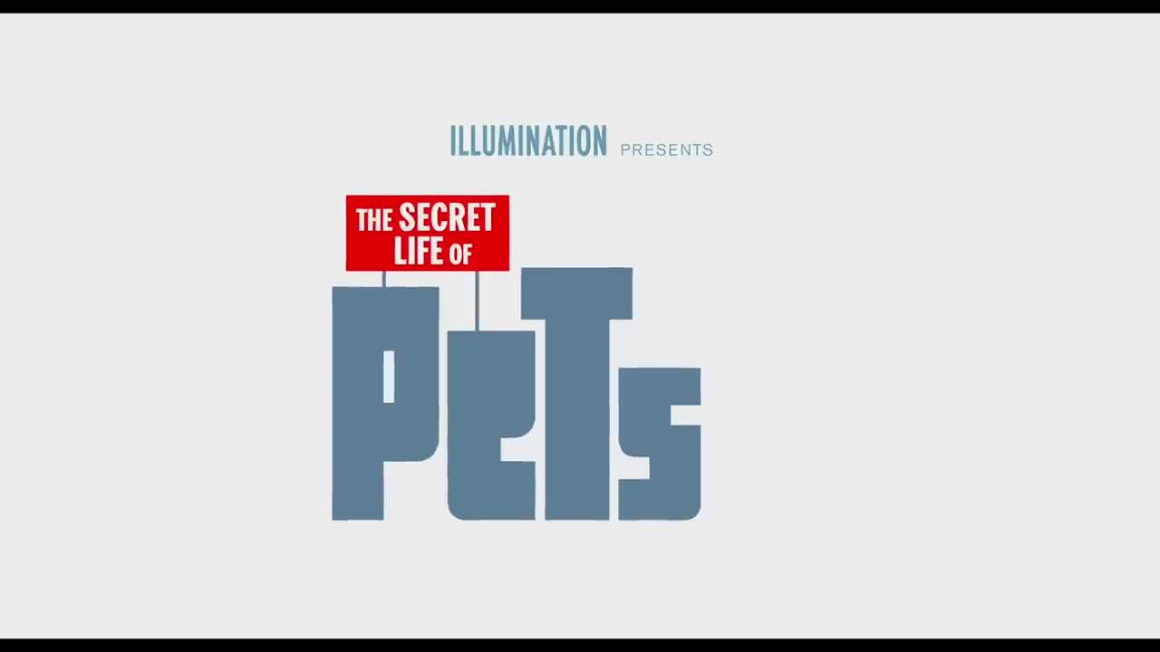 The Secret Life Of Pets