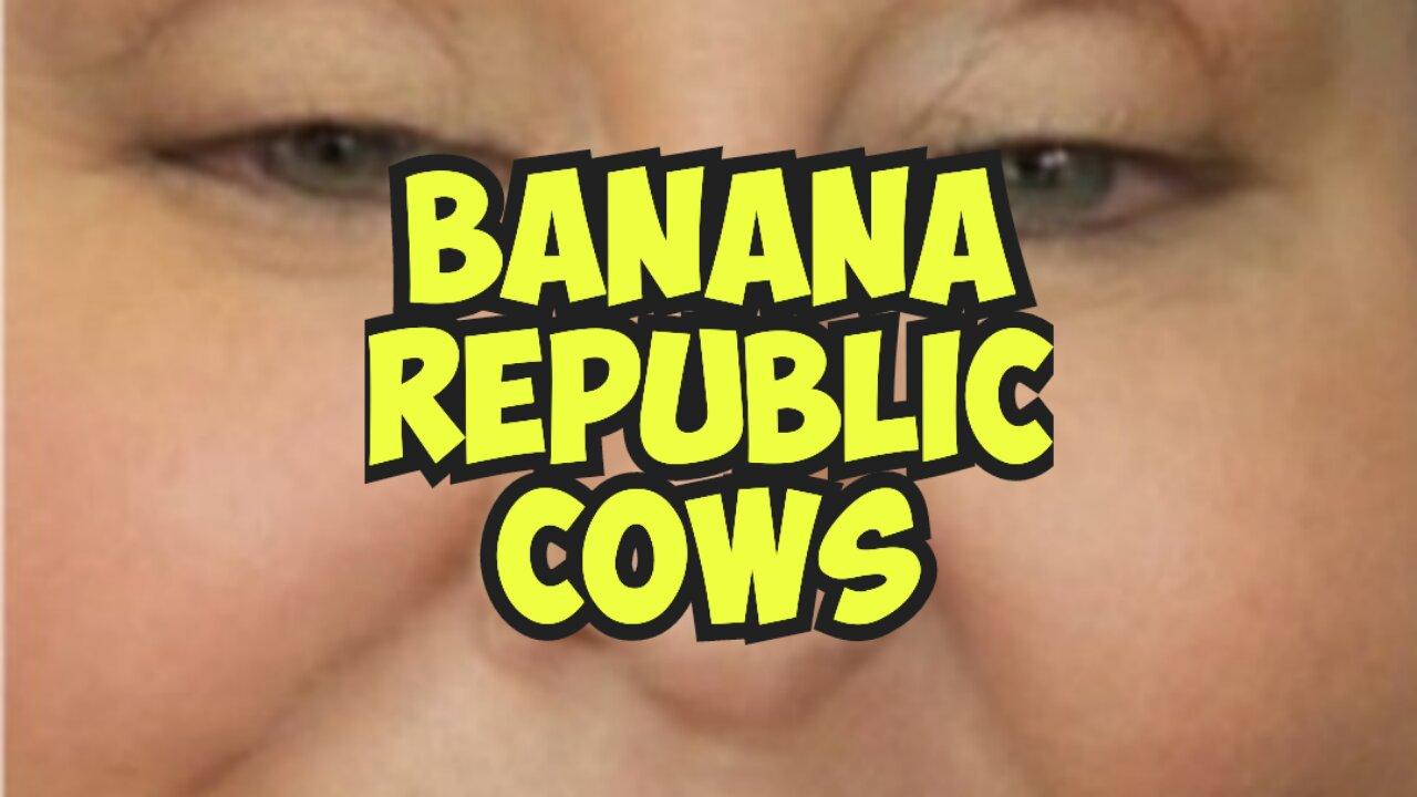 BANANA REPUBLIC COWS