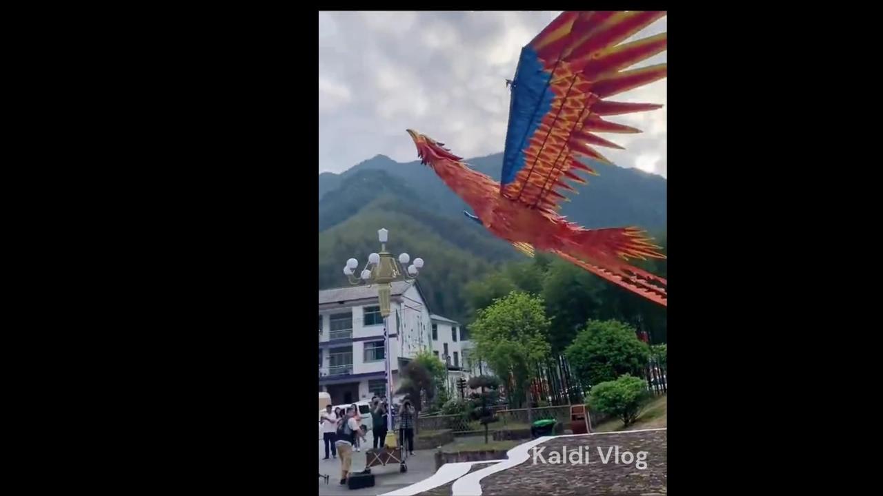 phoenix kite controlled by a drone, and flew it in the sky
