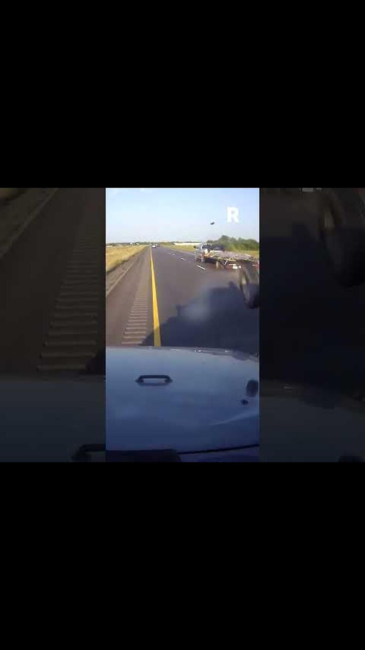 Unbelievable! Bi4 Dolphin Accident Caught On Camera