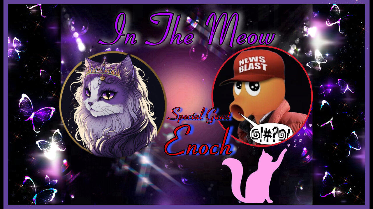 In The Meow | With Special Guest Enoch