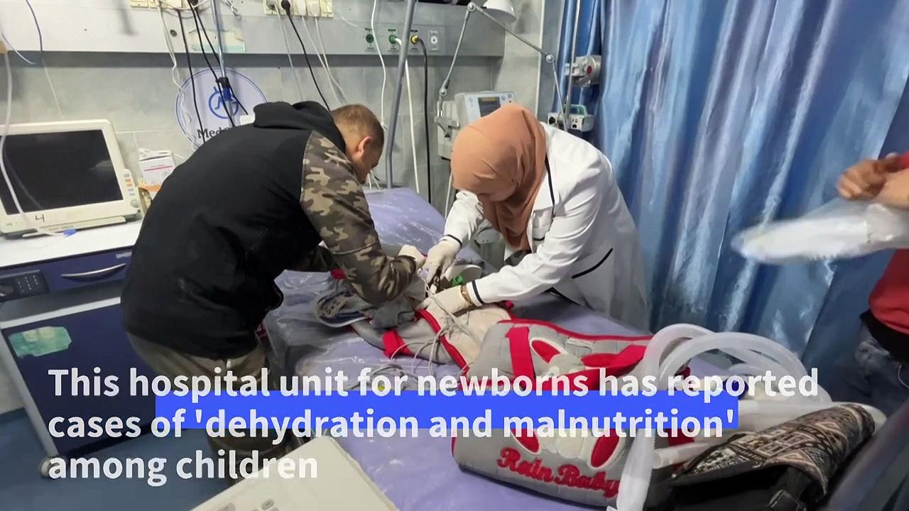 Gazan newborn unit reports deaths from malnutrition