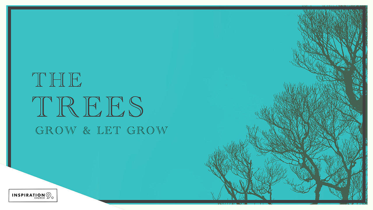 The Trees Grow & Let Grow // March 3, 2024 One News Page VIDEO