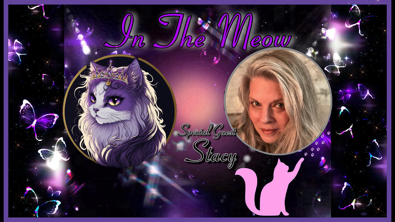 In The Meow | With Special Guest Stacie King