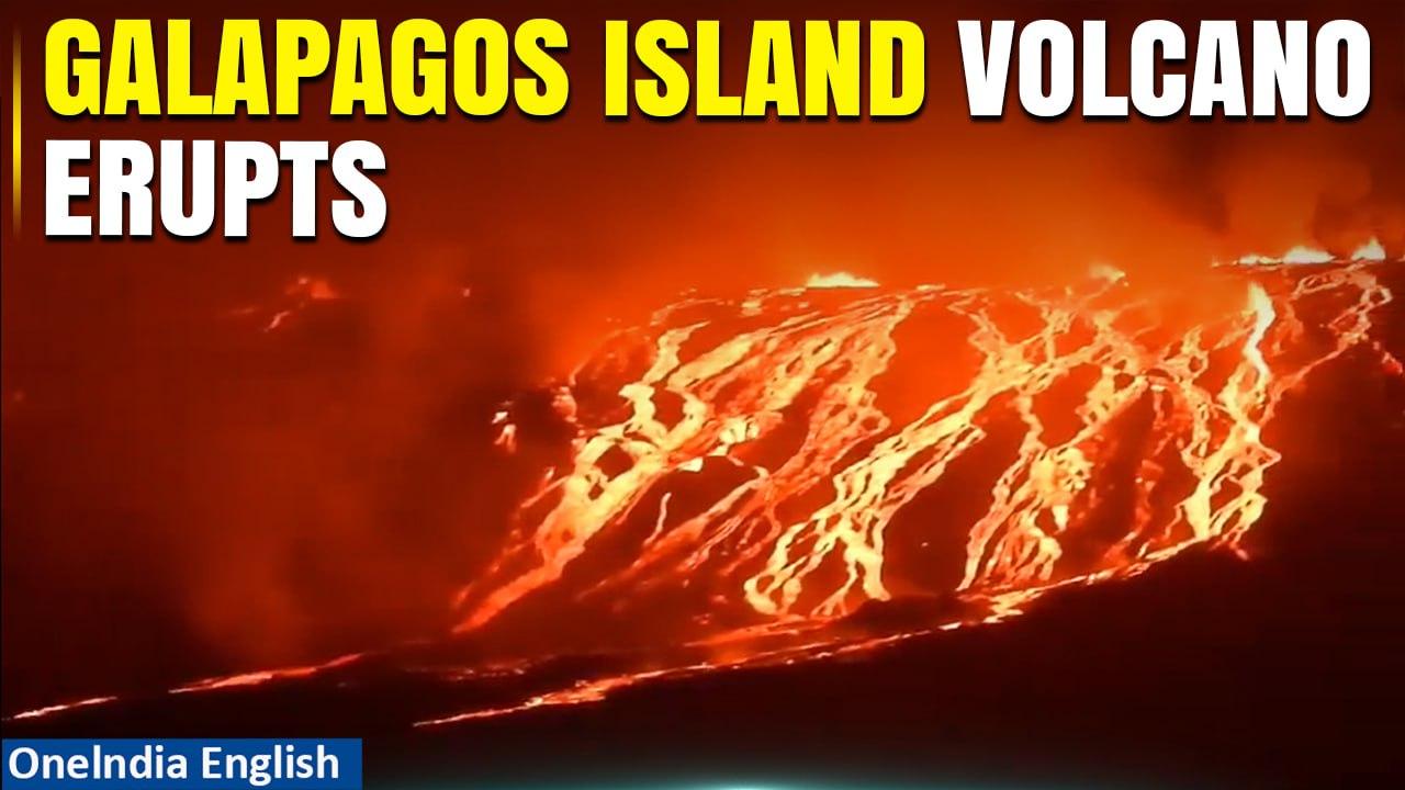 La Cumbre Volcano on uninhabited Galapagos Island erupts, sends lava flowing to the sea | Oneindia