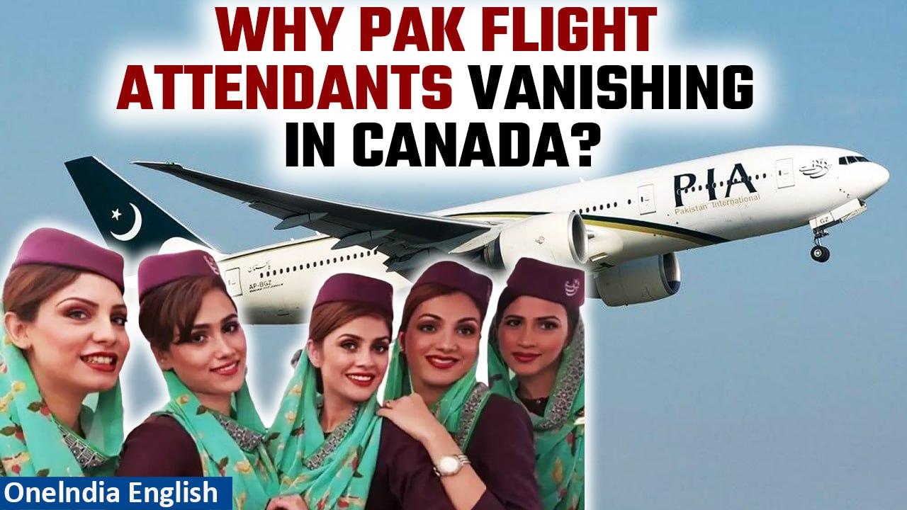 Pakistani Flight Attendants Vanishing in Canada: What's Behind the Mystery? | Oneindia News