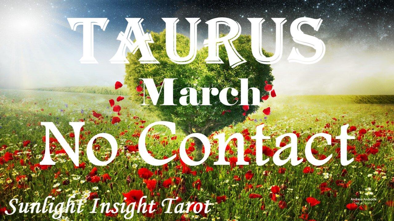 TAURUS - They Want The Perfect Life With You! But They Need To Do This First!🥰💏 March No Contact