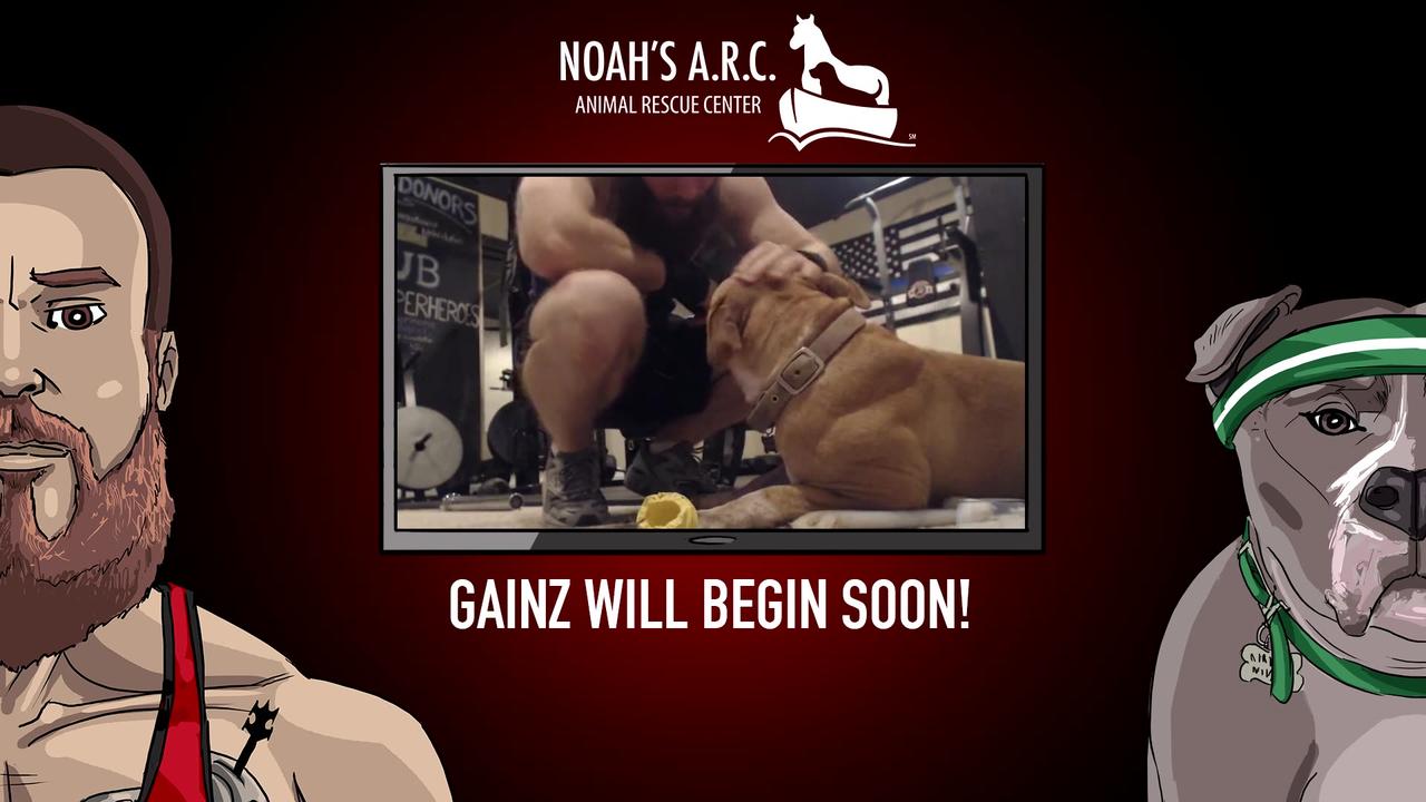 Old"ish" Dude Lifts Big"ish" Weights w/Hank-a-Tank [Week 10] - Shoulders // Animal Rescue Stream :)