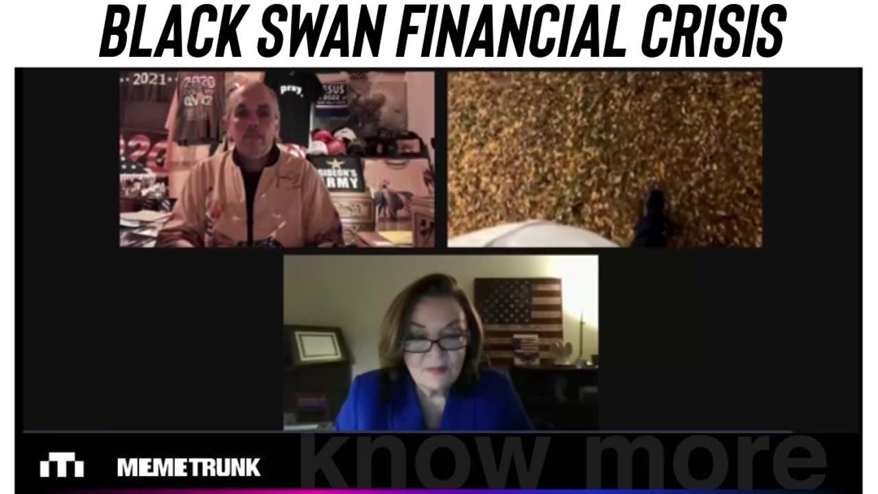 Black Swan Financial Crisis