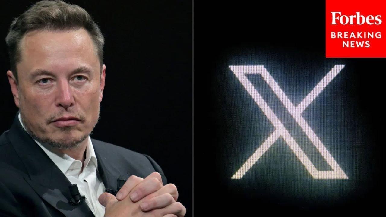 X Backpedals On Reintroduced Pronoun Policy After Backlash From Right-Wing Users,Elon musk