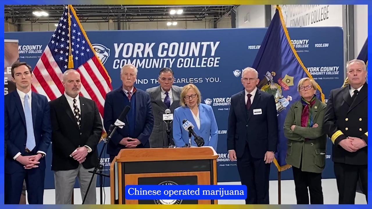 Governor Mills Dodges Questions to the Maine Wire About Illegal Chinese Weed Grows