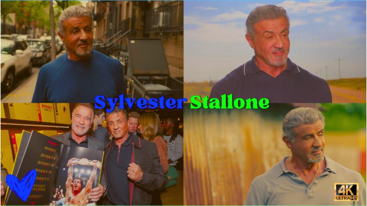 10 Fun and Interesting facts about Sylvester Stallone that you should know 🧸🐬