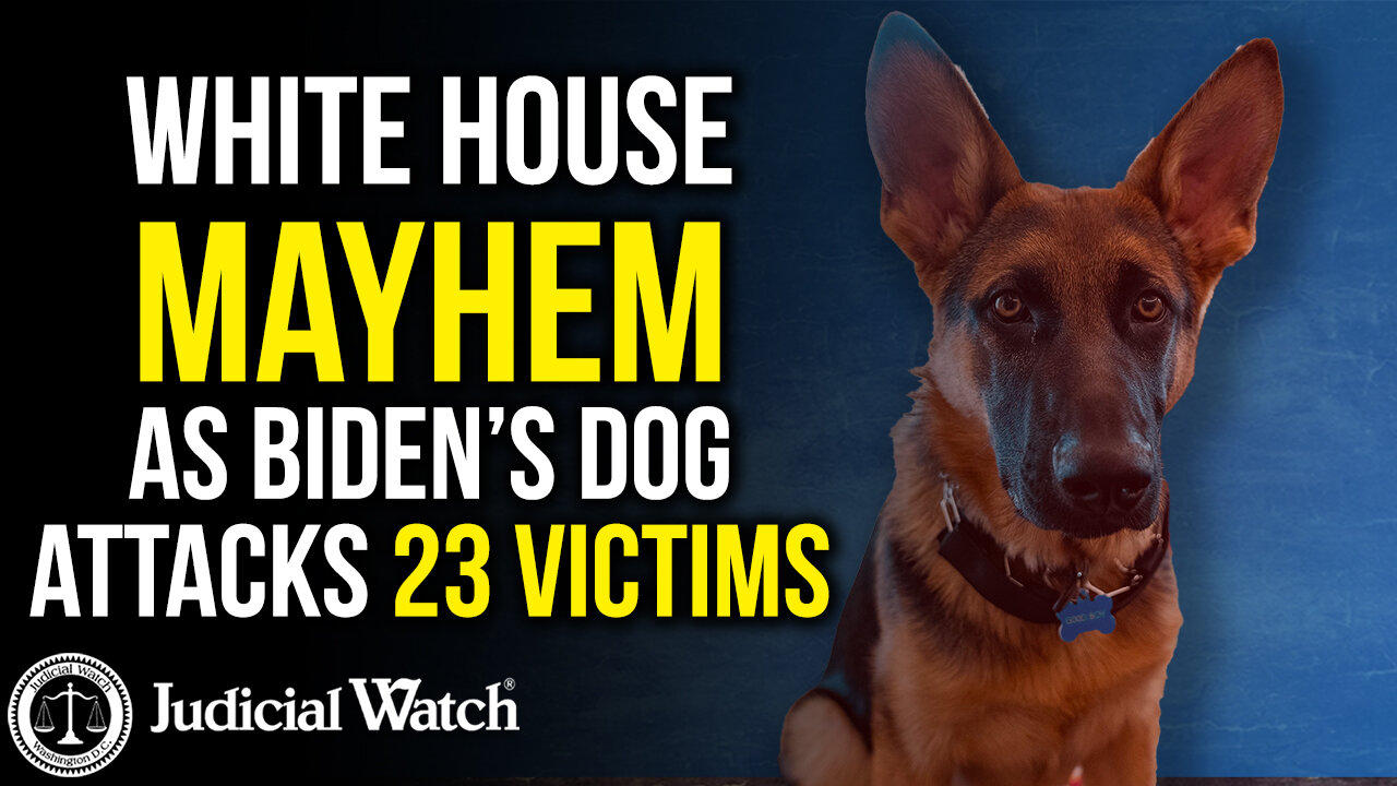 White House Mayhem as Biden’s Dog Attacks 23 Victims