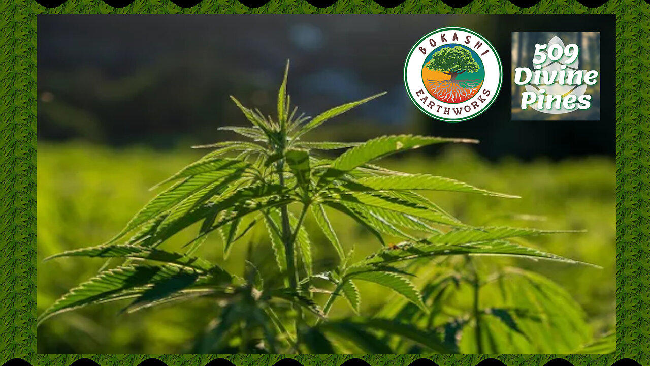 183 Bokashi Earthworks One News Page VIDEO