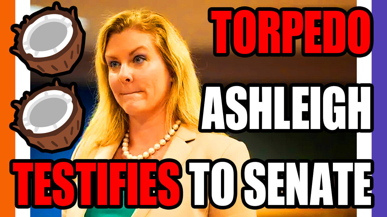 🔴LIVE: Trump Lawyer Ashleigh Merchant Testifies To The Georgia Senate 🟠⚪🟣