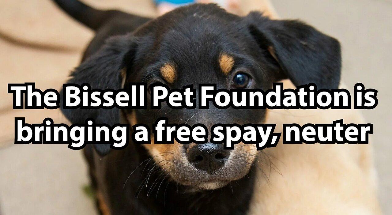The Bissell Pet Foundation is bringing a free spay, neuter