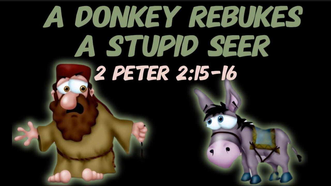 2 Peter 2:15-16 Sermon: A Donkey Rebukes Balaam a Stupid Seer!
