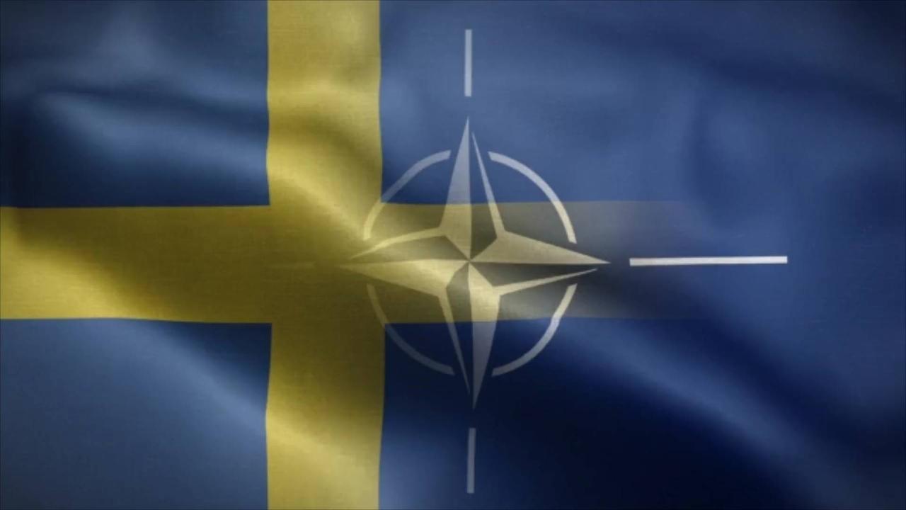 Sweden Officially Joins NATO Military Alliance