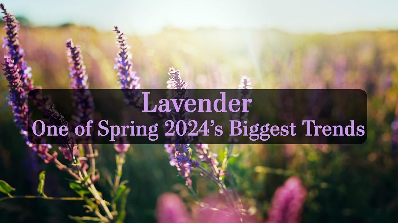 Lavender Is One of Spring 2024's Biggest Trends