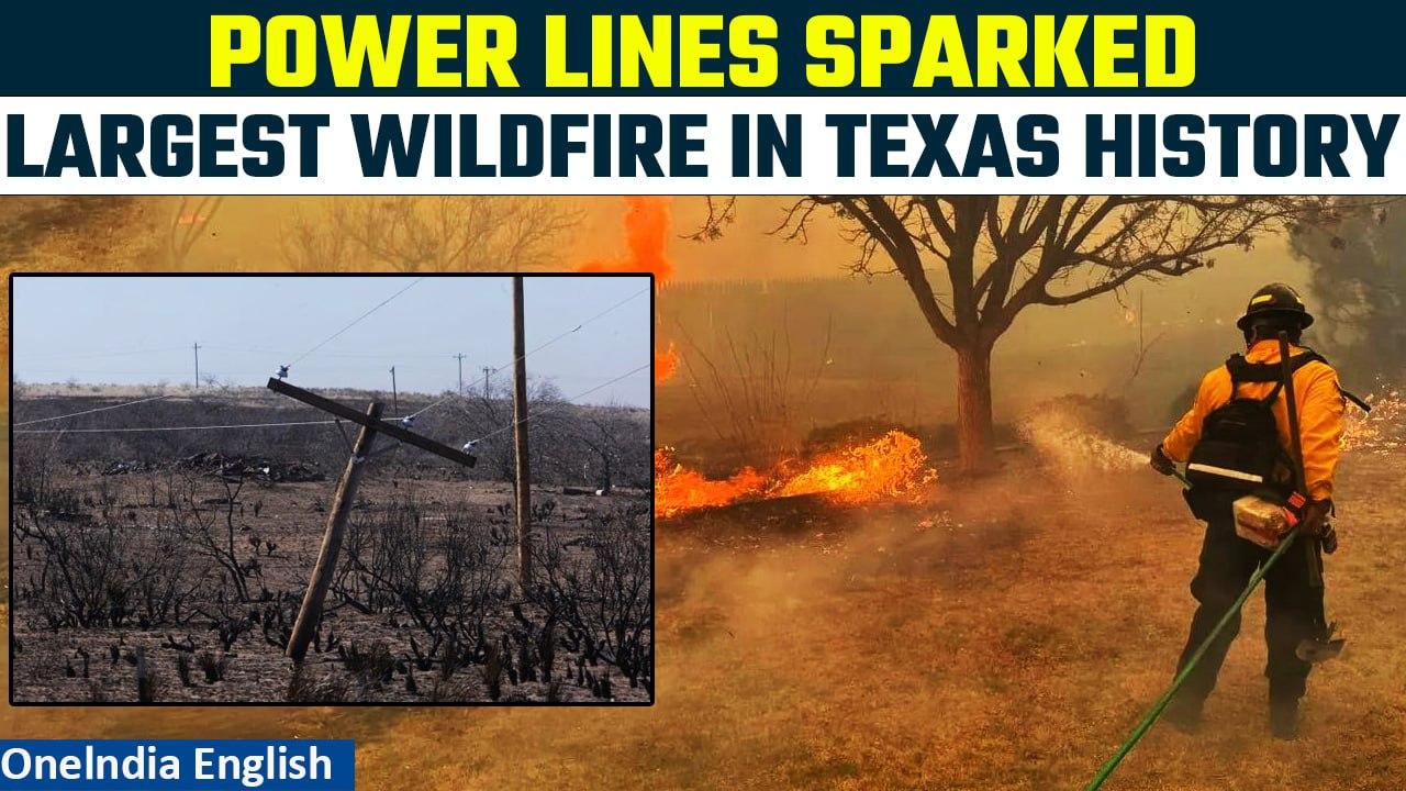 Texas Wildfire: Downed power lines ignited the largest wildfire in Texas history | Oneindia