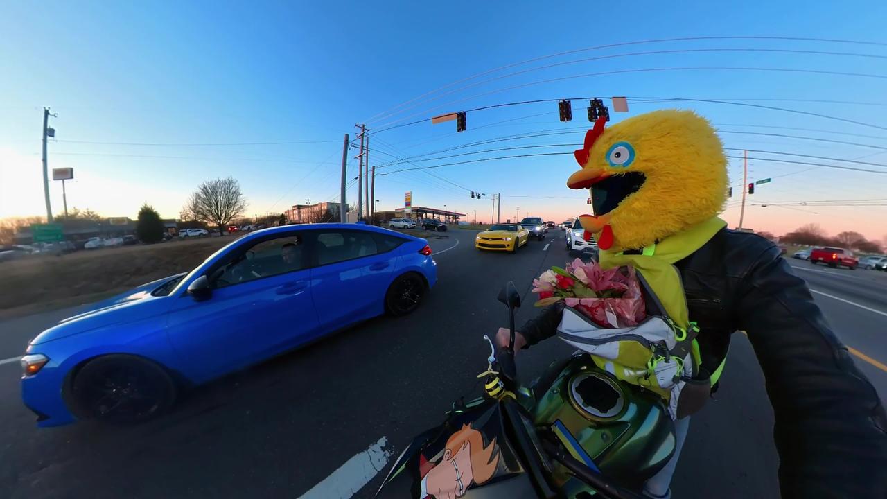 Motorcyclist Hands Out Flowers on Valentine's Day