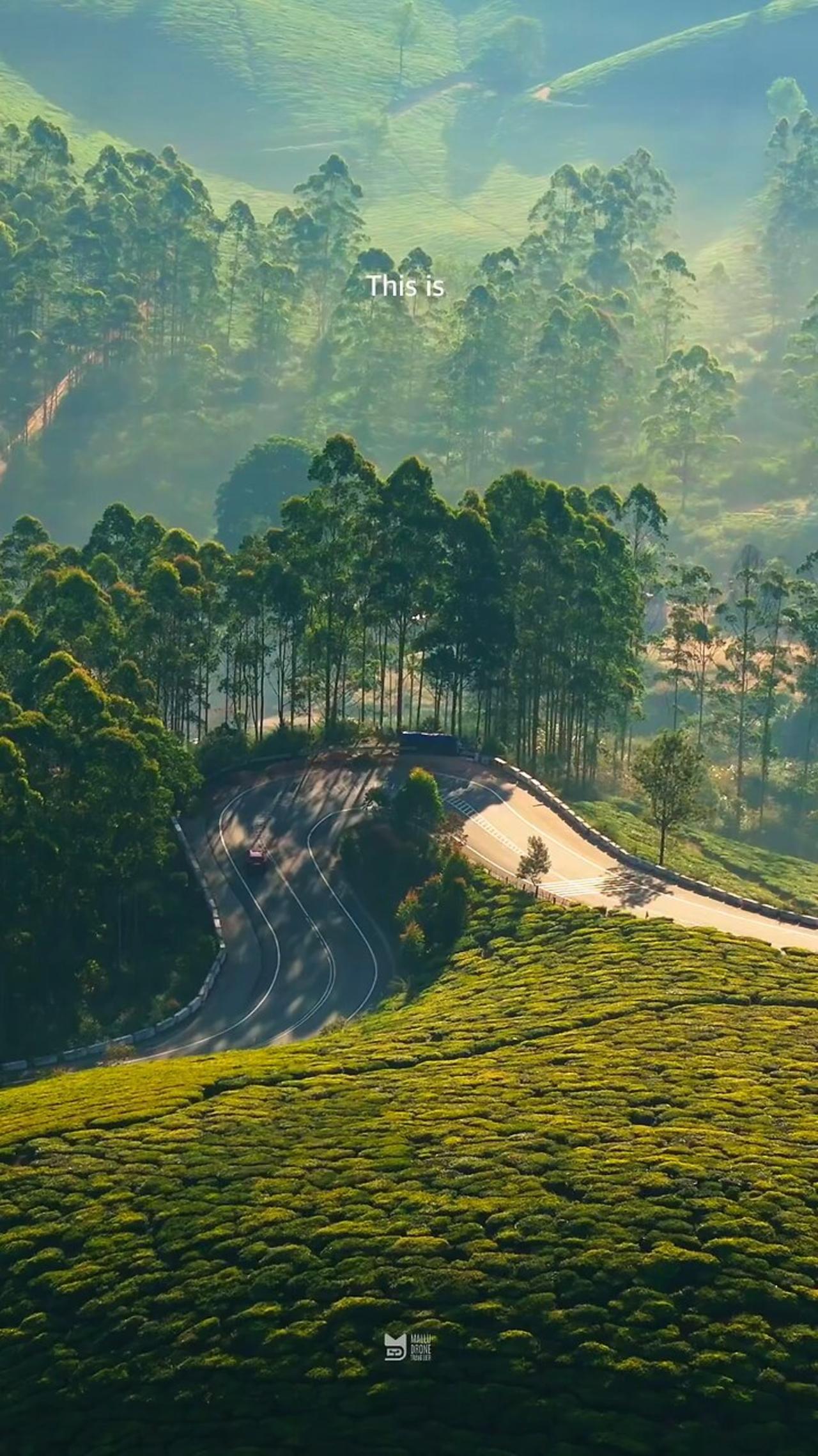 Gap road munnar ☘️😘