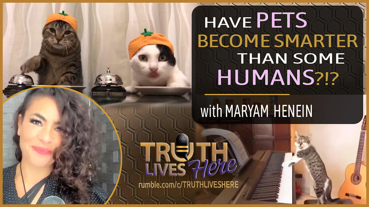 Have Pets Become Smarter Than Some Humans? with Maryam Henein