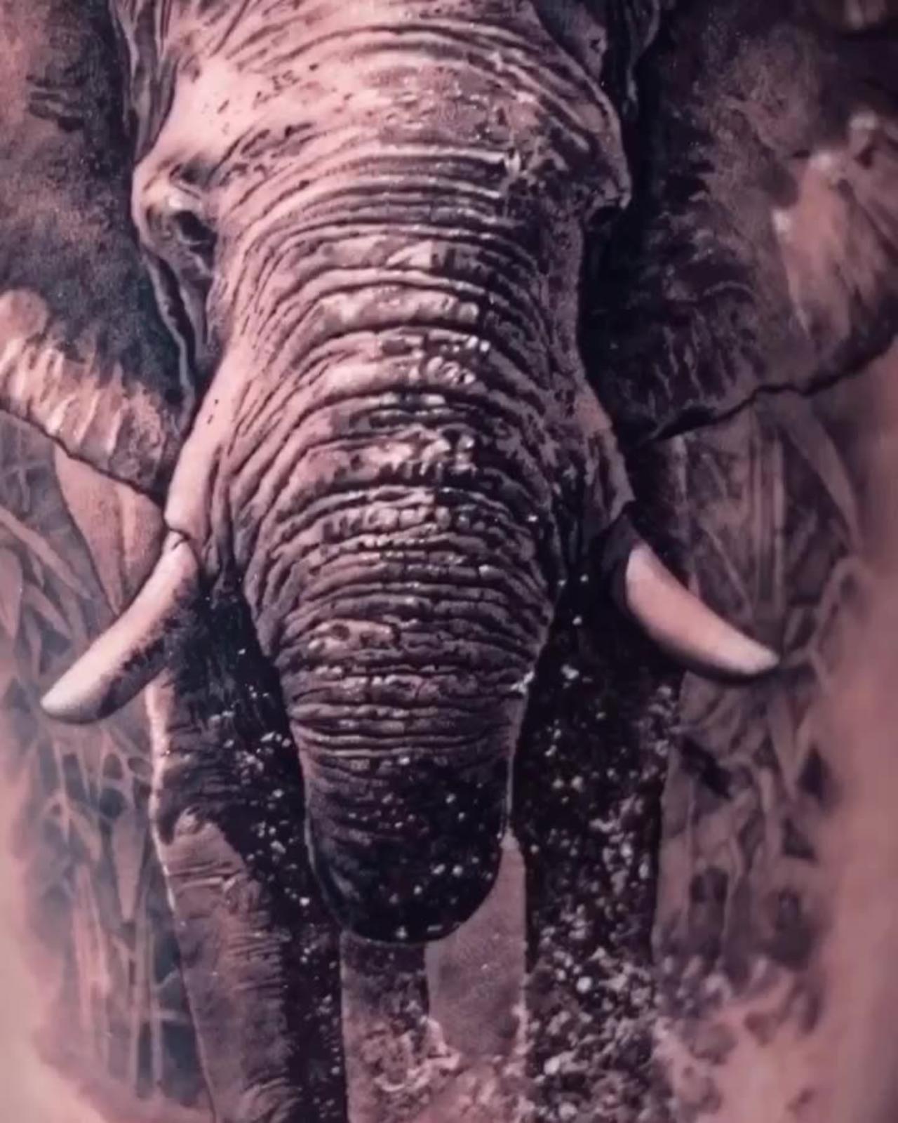 I LOVE Elephants! What About you? - Jose Contreras in TEXAS
