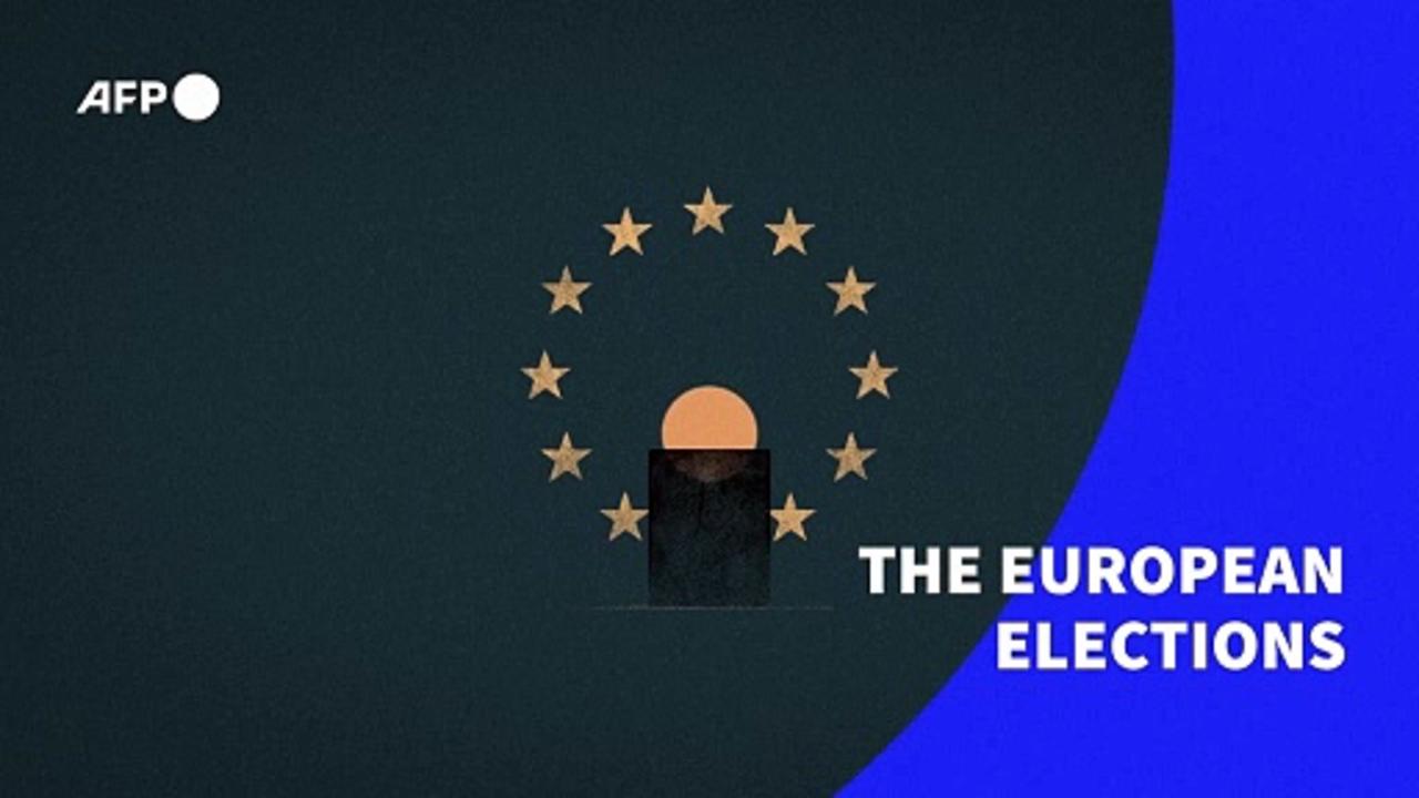 European elections: the voting system