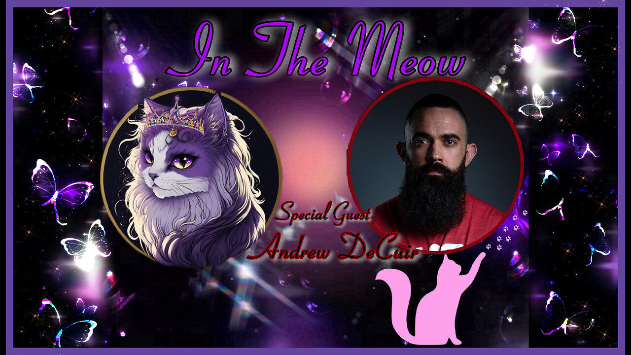 In The Meow | With Special Guest Andrew DeCuir