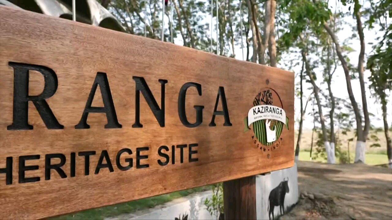 "Exploring Kaziranga: Modi's Visit to the Iconic Wildlife Sanctuary"