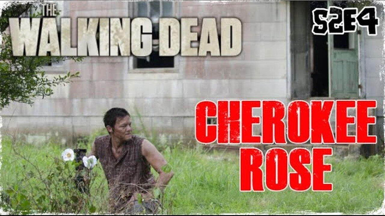 #TBT: TWD - S2EP4: "CHEROKEE ROSE" - REVIEW