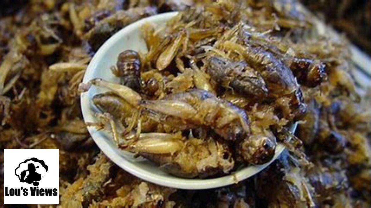 #62 - Tyson Foods Expands Into Insect Protein Production | Missouri High School Violence