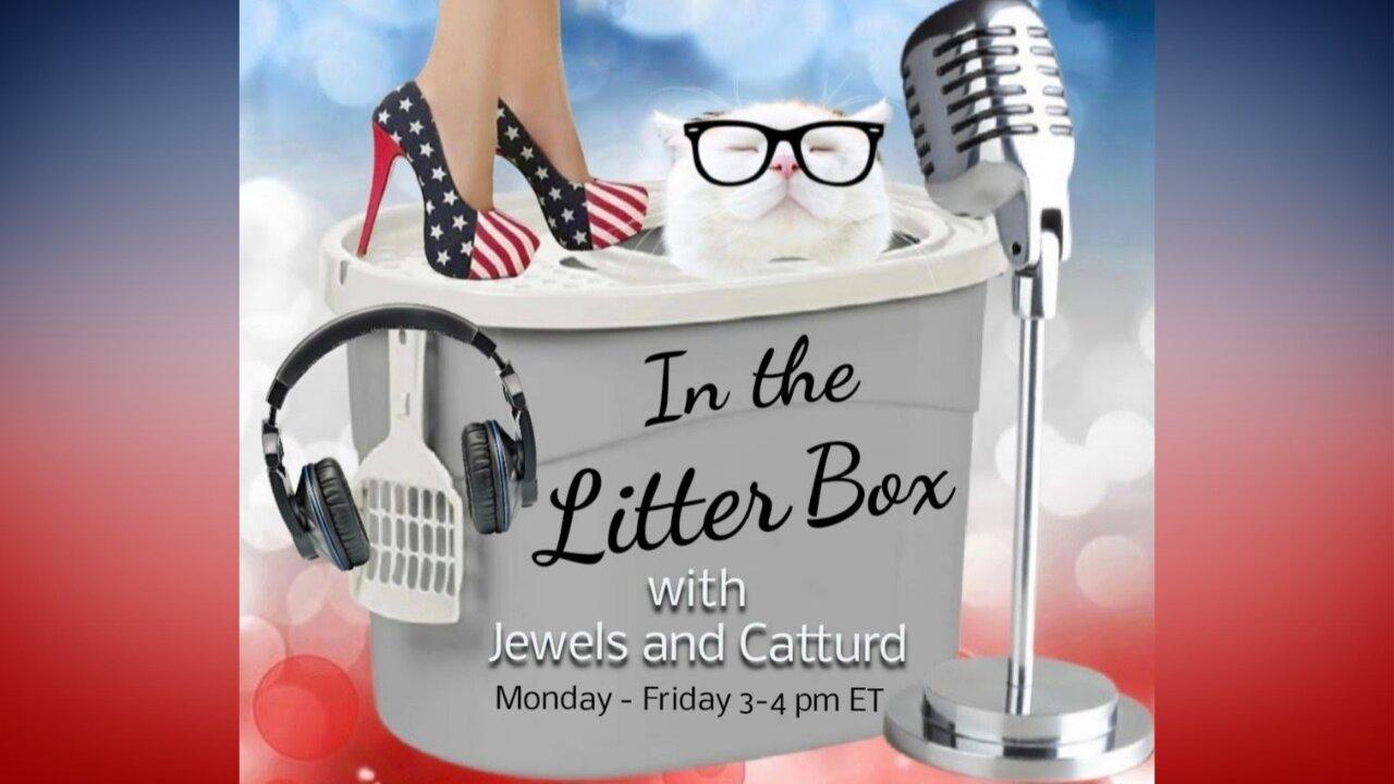 Biden's $7.3 Trillion Dollar Budget | In the Litter Box w/ Jewels & Catturd - Ep. 529 - 3/13/2024