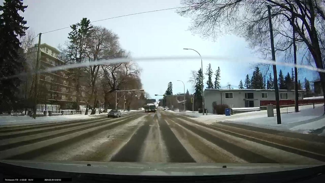 Red deer dashcam vid/ Super Bus Driver