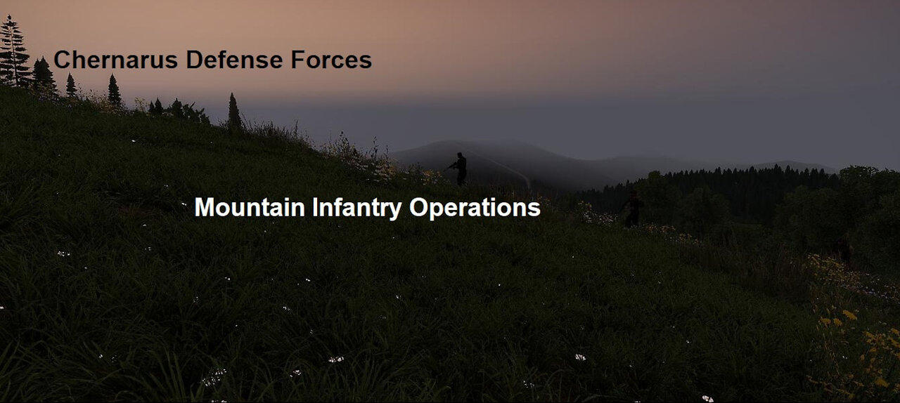 Chernarus Defense Forces Combat Operations in Livonia