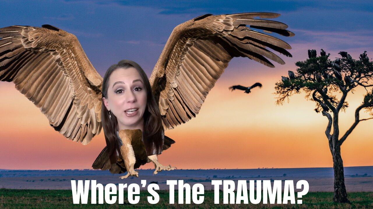 Without a Crystal The TRAUMA VULTURE