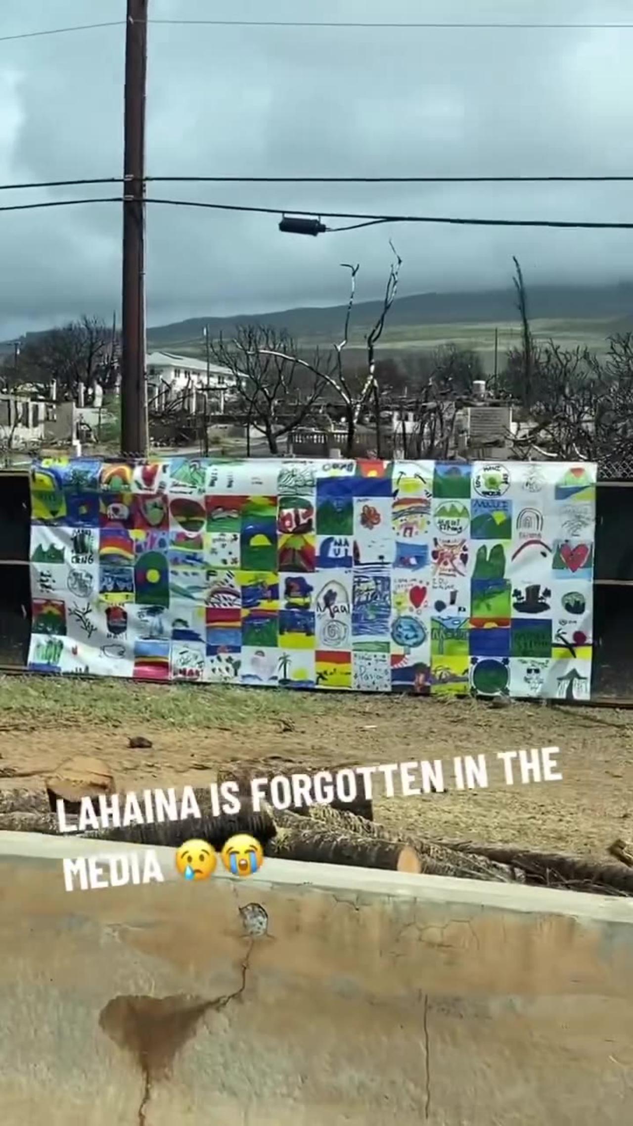 Lahaina Update | Check Description