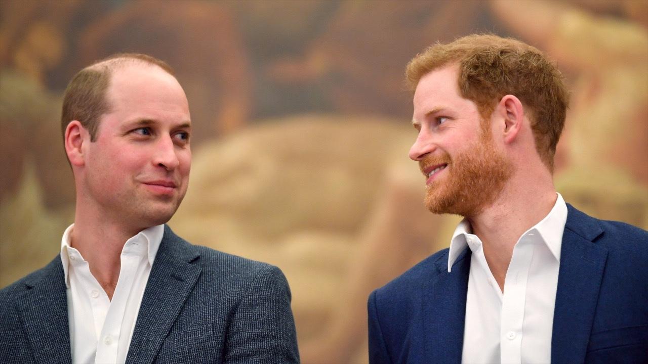 Royal Brothers (Kind Of) Reunite to Honor Mother, Princess Diana